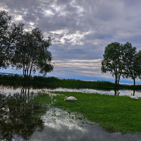 Little Tiny Village Haus 3 * Fussach