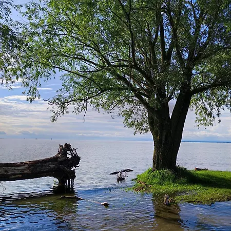 Little Tiny Village Haus 3 *